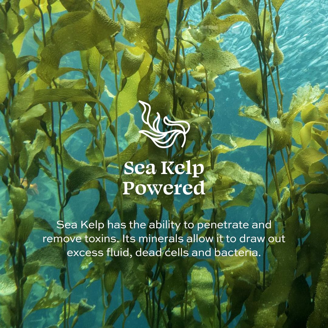 Aleavia Purifying Facial Cleanse – Fragrance-Free Organic & All-Natural Prebiotic, Vegan Face Wash – Nourish your Healthy Skin Microbiome – 8 oz. (New Formula)