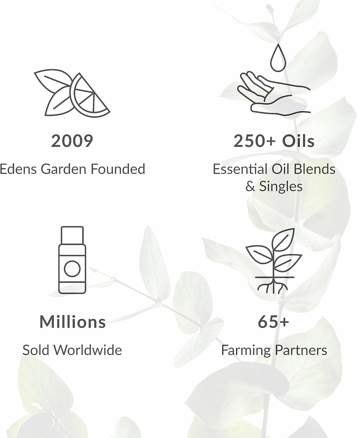 Edens Garden Worry Less Essential Oil Roll-On Blend- 100% Pure Premium Grade, Natural, Therapeutic, Aromatherapy, Kid & Skin Safe, Best for Comfort, Wellness, Relaxation Pre-Diluted 10 ml (.33 fl oz)