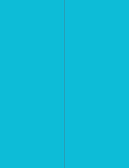 NextDayLabels - 8-1/2 x 11 Neon Color High Light Fluorescent Labels for Laser & Inkjet Printer (Blue Fluorescent, 4-1/4" x 11" - 2 Per Page | 50 Labels)