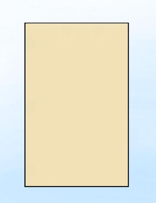 Limited Papers (TM) Colored Copy Paper – 24lb/60lb Text, 90 gsm, 11"x17", Tabloid Size, 500 Sheets Per Ream. (500, Tan)