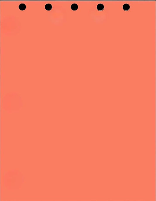 Limited Papers(TM) Writing and Copy Paper, Variation of Colors 8.5" x 11", 5 Hole Top-Punched, 20 Pound Text, 500 Sheets Per Ream. (5000, Salmon)