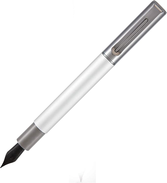 Monteverde USA Ritma Fountain Pen in Silver – Fine Nib, Smooth JoWo Stainless Steel, Refillable Ink Cartridge/Converter – Ideal for Everyday Writing & Journaling
