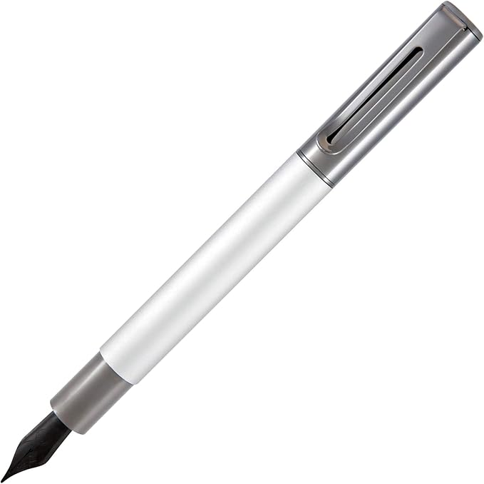 Monteverde USA Ritma Fountain Pen in Silver – Fine Nib, Smooth JoWo Stainless Steel, Refillable Ink Cartridge/Converter – Ideal for Everyday Writing & Journaling