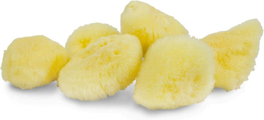 Sea Silk Sponge 6pc Kit, Hand Cut, Small, Approx. 1-2 inches, Ideal for Cosmetic Use and Facial Cleansing