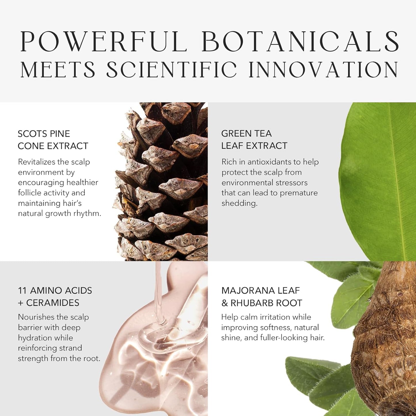 Kiwabi Root Beauté Regrowth Hair Serum – Lightweight Hair Growth Serum for Men and Women – Help Prevent Hair Loss for Thicker, Stronger Strands – Fragrance-Free & Fast-Absorbing (2.1 fl oz)