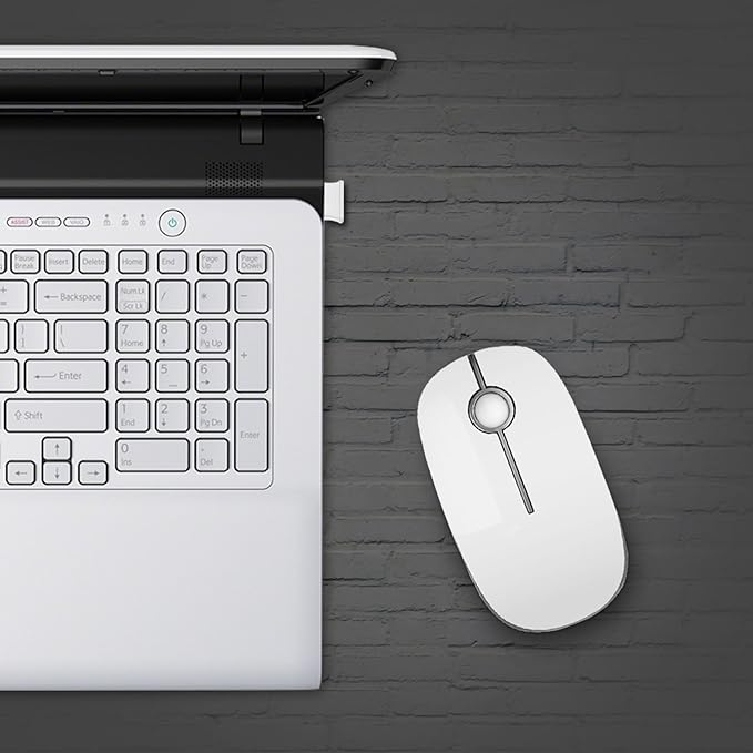 VssoPlor Wireless Mouse, 2.4G Slim Portable Computer Laptop Mouse with Nano Receiver Quiet Silent Optical Mice for Notebook, PC, Laptop, Computer-White and Silver