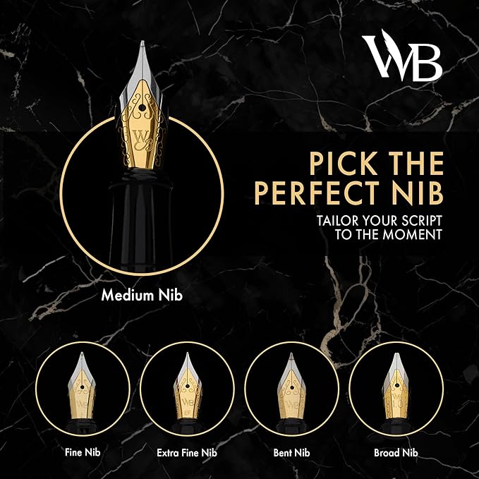 Wordsworth & Black Fountain Pen Set, 18K Gilded Extra Fine Nib, Includes 24 Pack Ink Cartridges, Ink Refill Converter & Gift Box, Chrome Finish, Calligraphy, [Black Chrome], Perfect for Men & Women