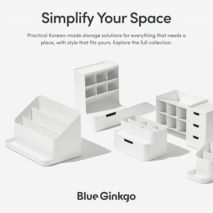 BLUE GINKGO Desk Tray – Korean-Made Organizer for Notes, Pens, Pencils, and Accessories (Double-sided, White)
