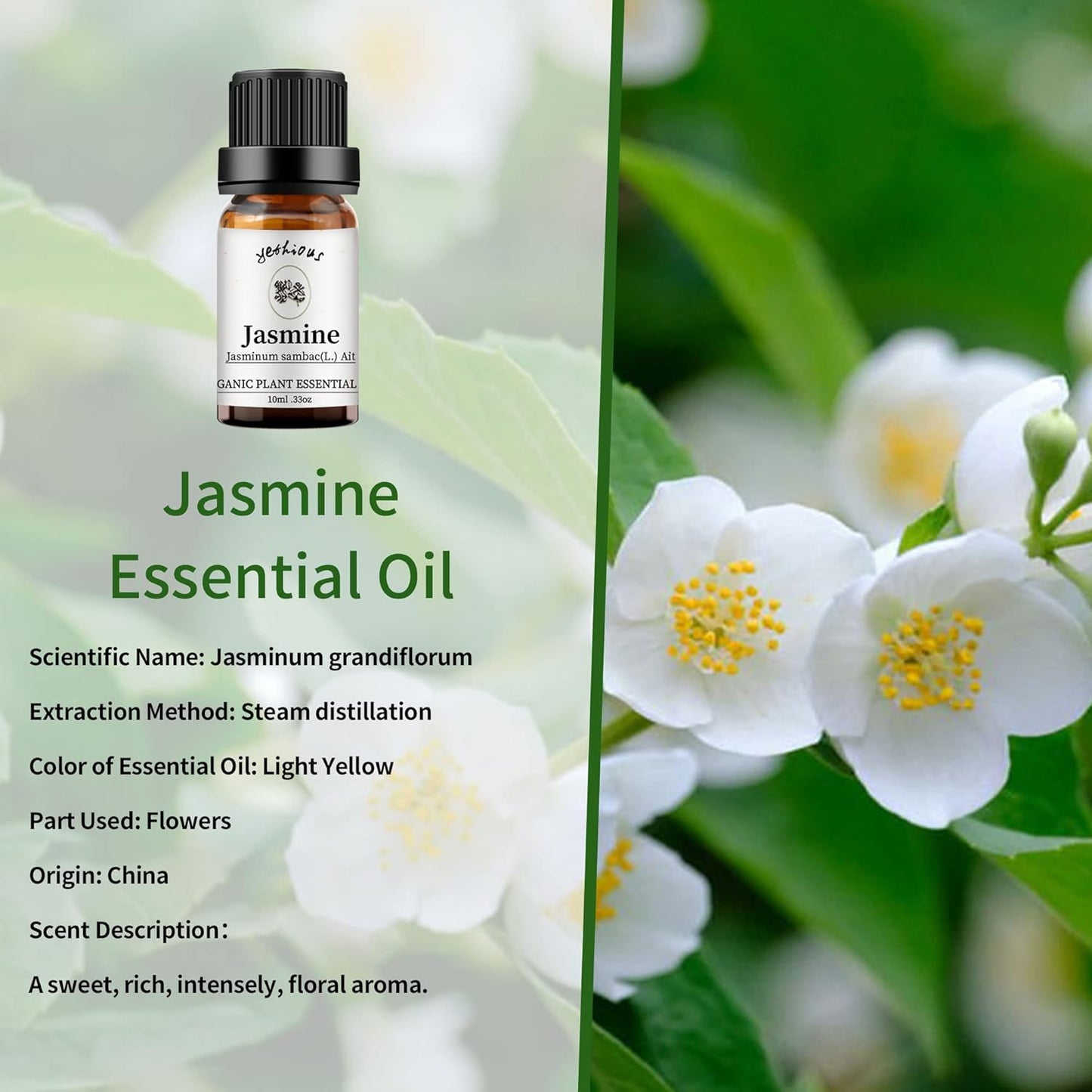 yethious Jasmine Chamomile Sandalwood Essential Oil Set Organic 100% Pure 3 Pack Chamomile Essential Oils for Aromatherapy & Diffuser