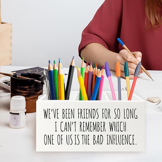 QZQE Funny Sarcastic Friendship Pen Pencil Holder Organizer for Desk, Humorous Gifts, We've Been Friends for So Long I Can't Remember Which Wooden Box Signs Decor for Home Office Desk Tabletop