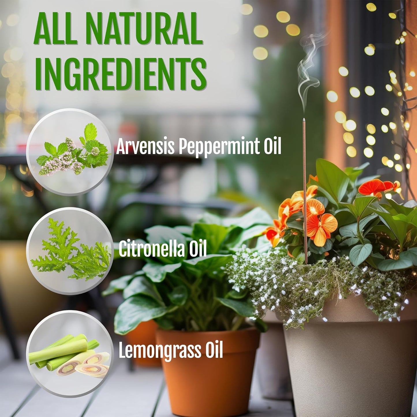 Farm Raised Candles - USA Made Mintronella - Natural Mosquito Repellent Sticks – 100 Pcs - Outdoor Insect Sticks – Citronella & Peppermint – Bug, Fly, Gnat, No-See-Um for Patio & Camping