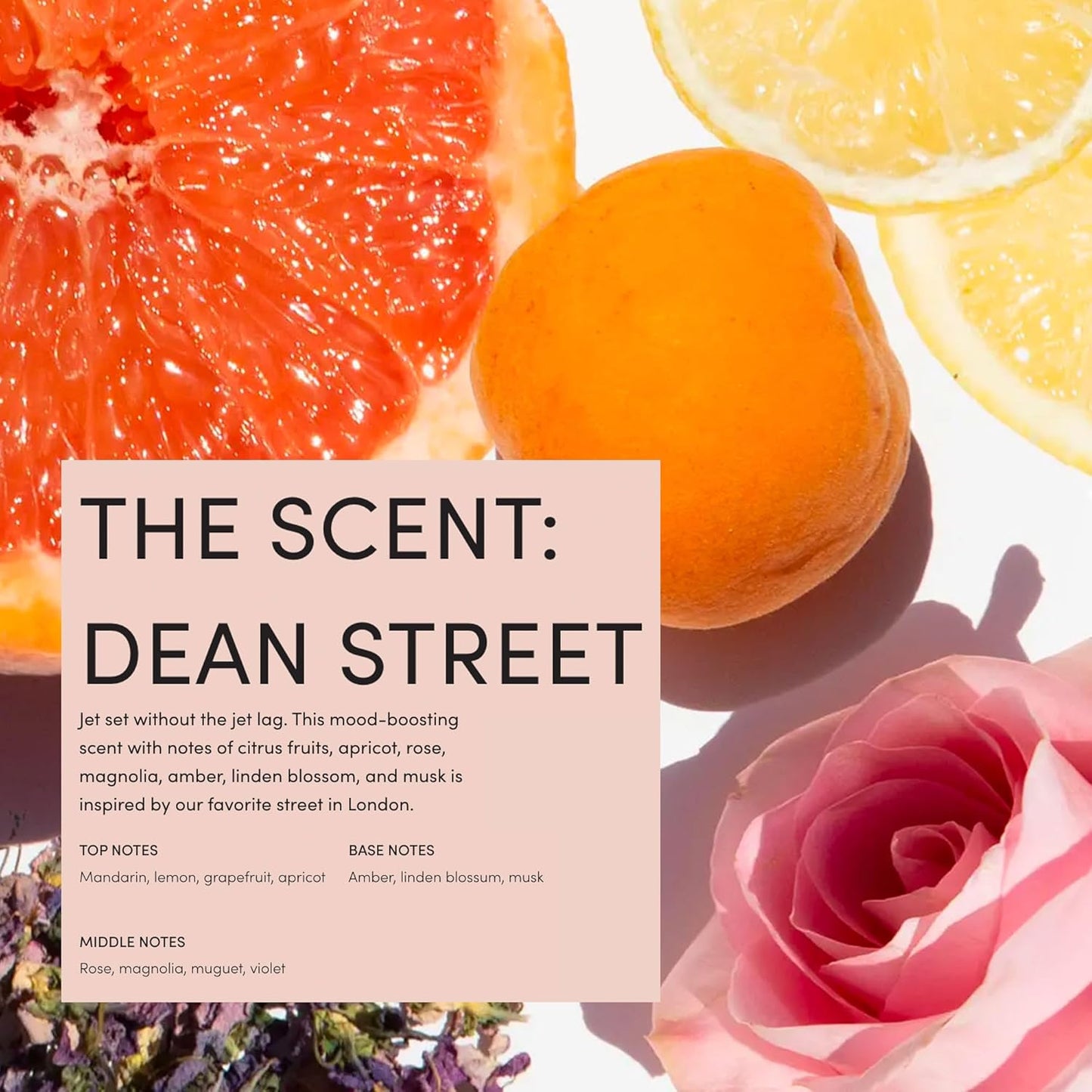 OUAI Body Cleanser Refill, Dean Street - Foaming Body Wash with Jojoba Oil and Rosehip Oil to Hydrate, Nurture, Balance, Soften Skin - Paraben, Phthalate and Sulfate Free Skin Care Products (32 Fl Oz)