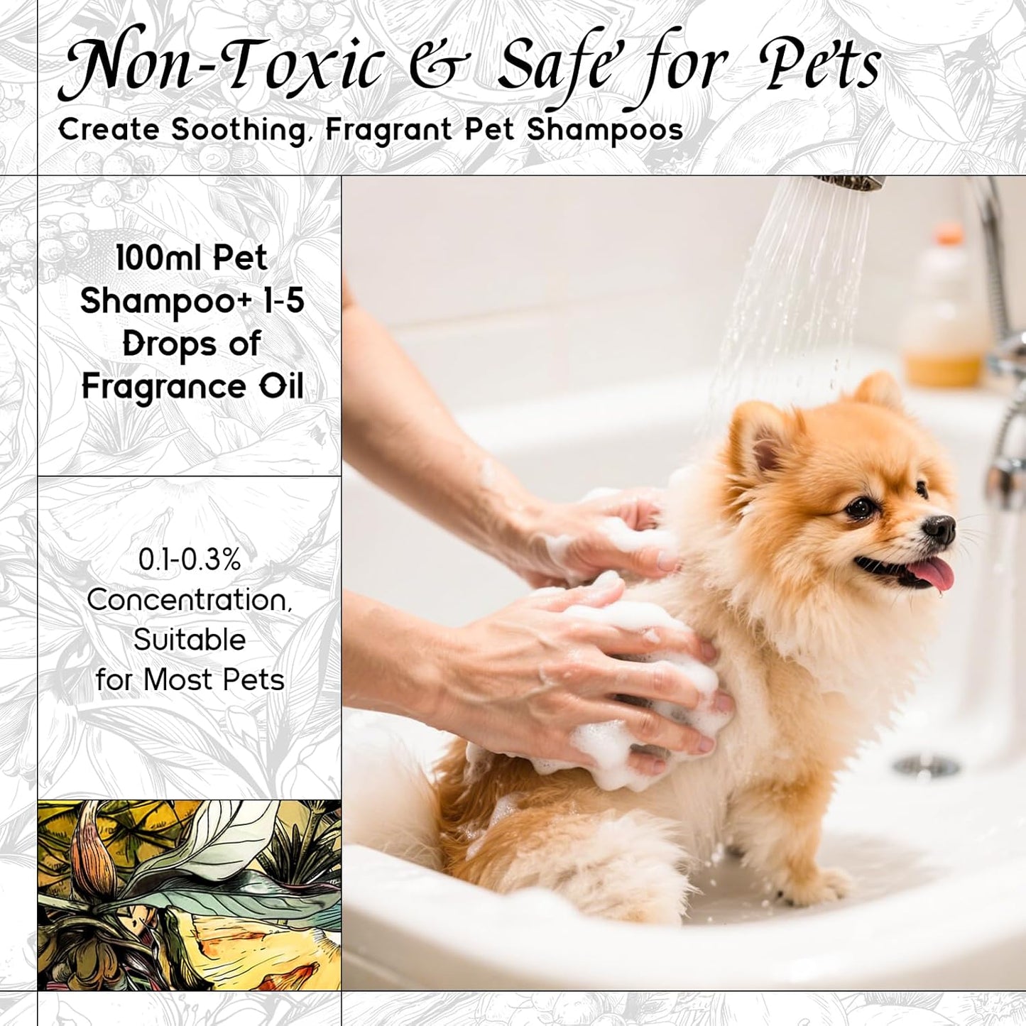 HIQILI Mint Bergamot Matins Fragrance Oil - 5.07 Fl Oz