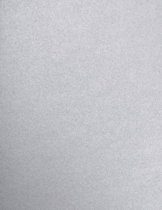 LUXPaper 8.5" x 11" Paper | Letter Size | Silver Metallic | 80lb. Text | 50 Qty