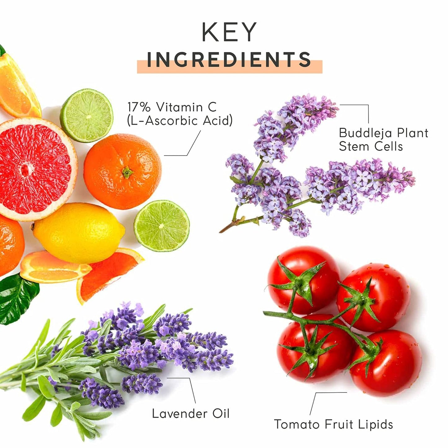 MyChelle Dermaceuticals Perfect C™ Serum - 17%