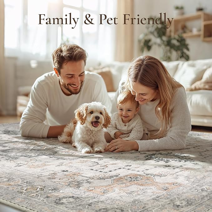 GENIMO Area Rug 2x3 Doormat, Machine Washable Low Pile Rugs, Small Retro Chenille Entryway Mat for Entrance, Hallway, Kitchen and Corridor, Light Taupe Brown