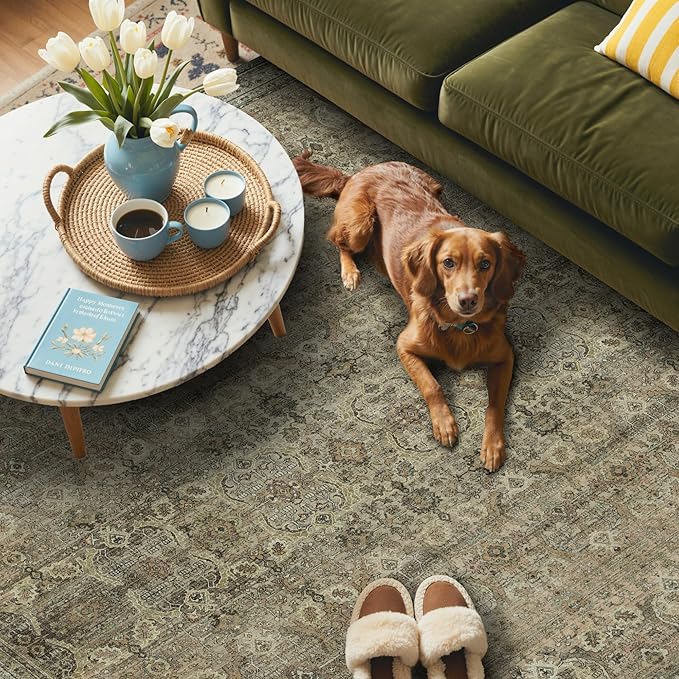 GENIMO 6x9 Area Rugs for Living Room, Machine Washable Non Slip Vintage Rugs, Low Pile Lightweight Chenille Print Rug for Bedroom, Dining Room, Home Office, Green Khaki