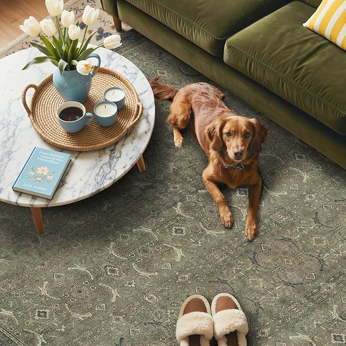 GENIMO 9x12 Area Rugs for Living Room, Machine Washable Non Slip Vintage Rugs, Low Pile Lightweight Chenille Print Rug for Bedroom, Dining Room, Home Office, Muted Green